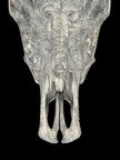 Bull Skull Carved Indian - Skull,A/153
