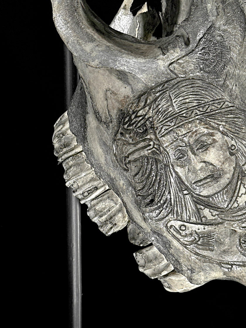 Bull Skull Carved Indian - Skull,A/153