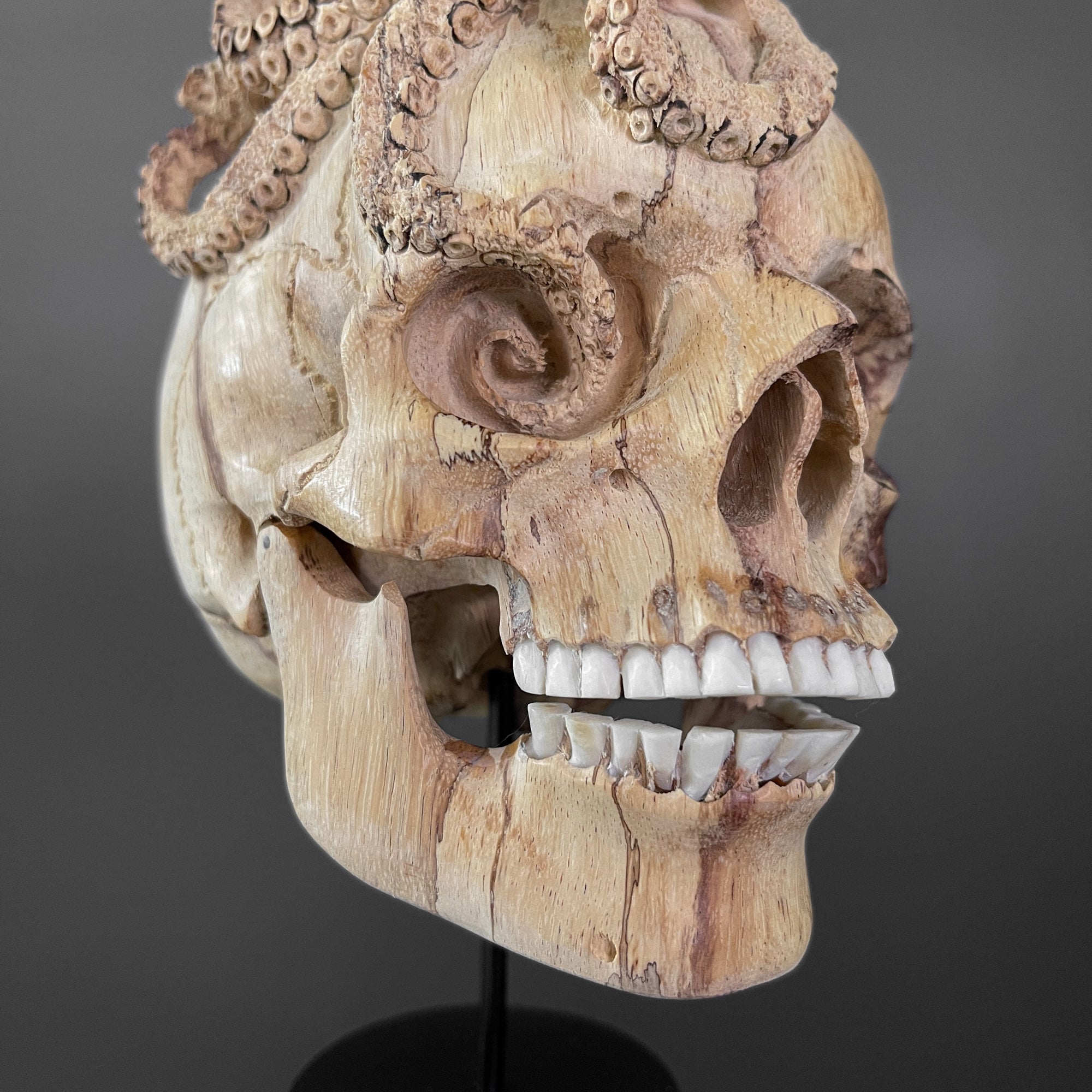 Tamarind Wood Skull with Carved Tentacles - 6C/098