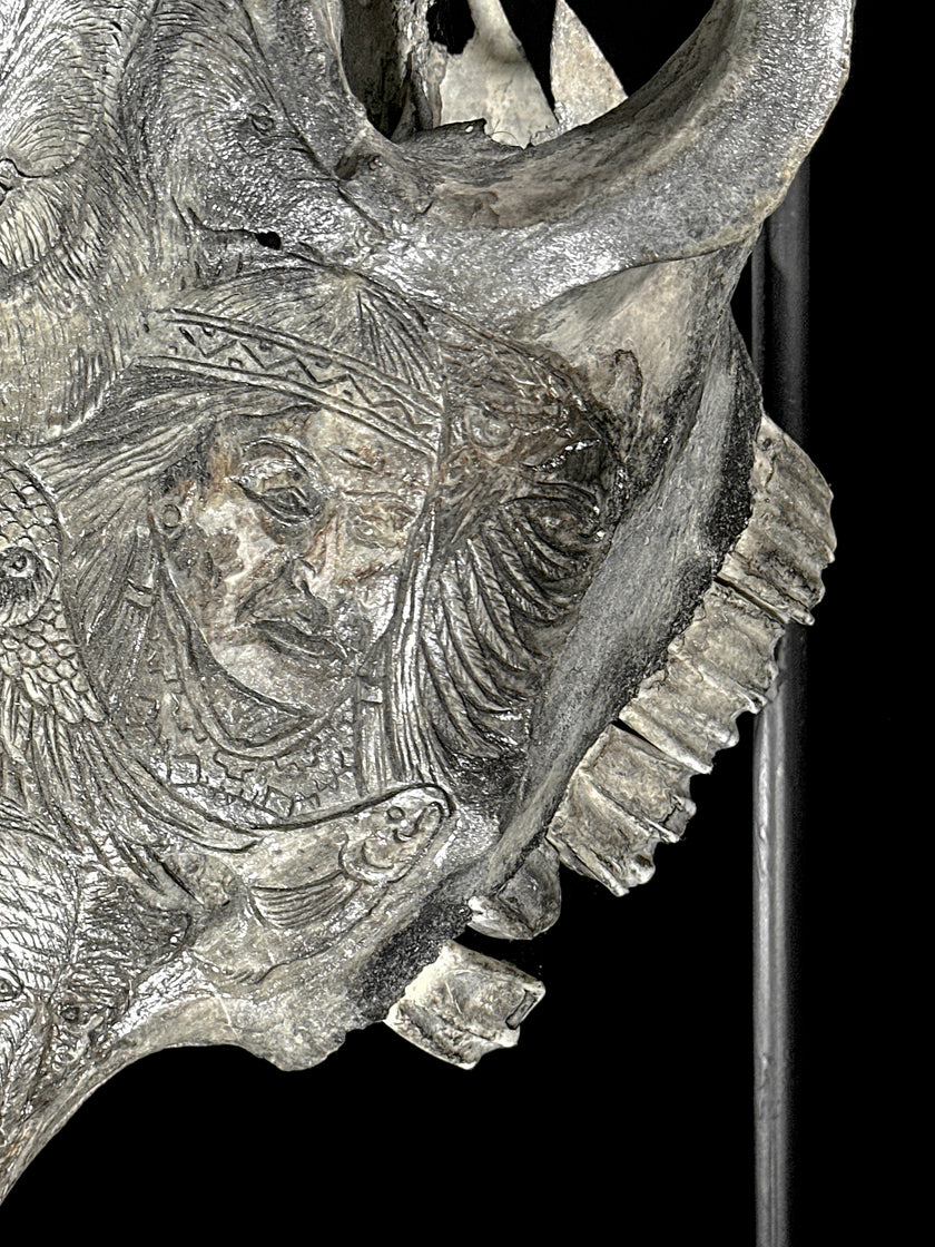 Bull Skull Carved Indian - Skull,A/153