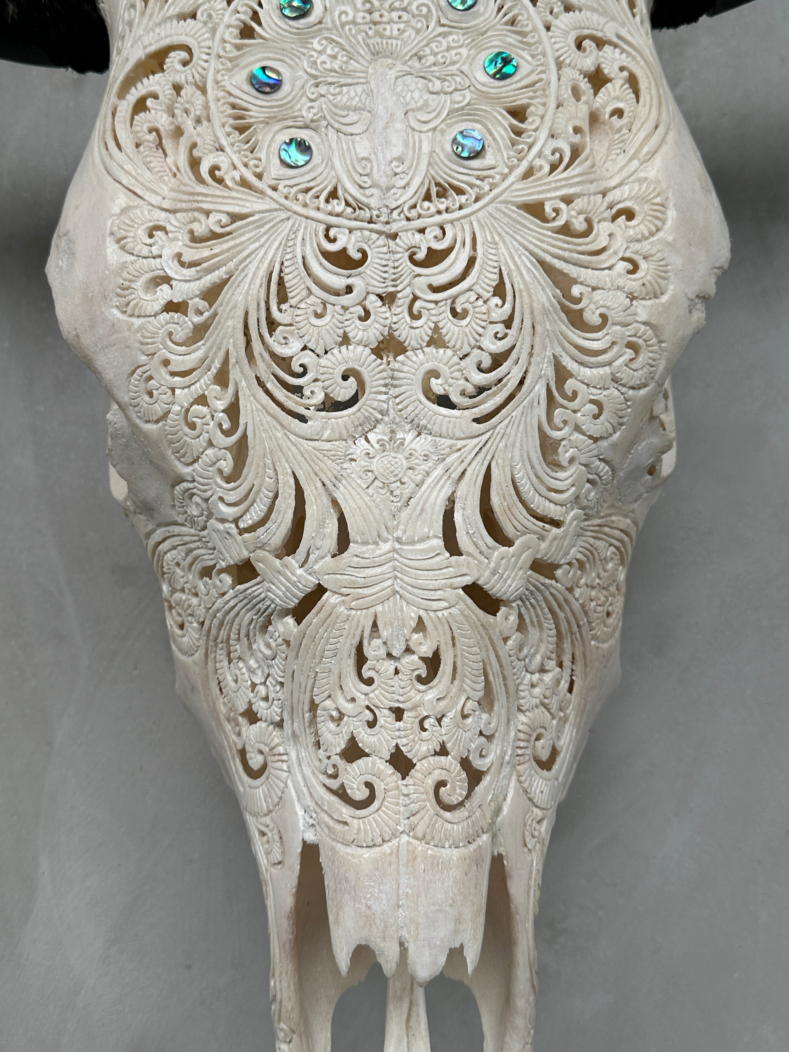 Bull Skull Carved Merak - Skull,A/050