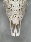 Bull Skull Carved Merak - Skull,A/050