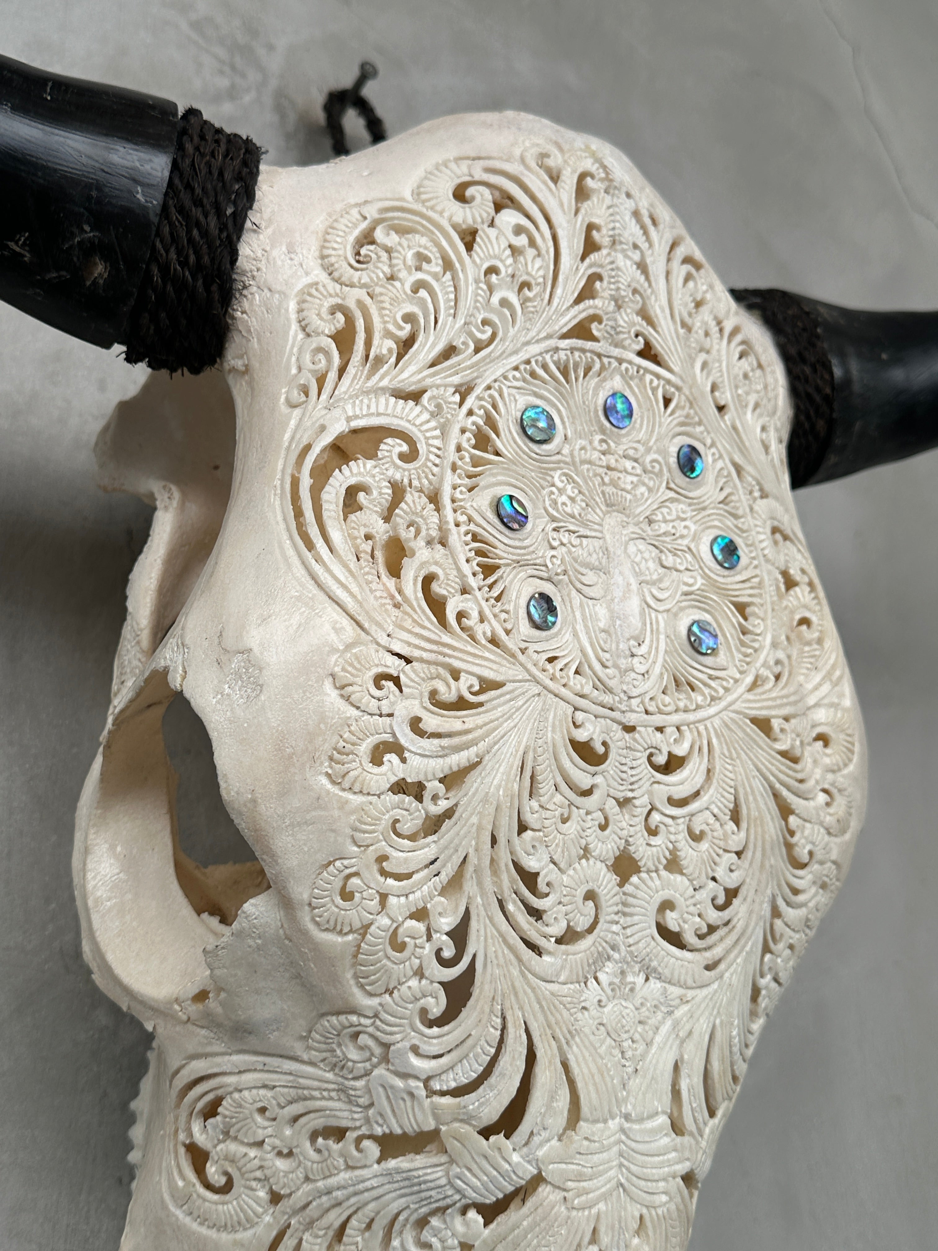 Bull Skull Carved Merak - Skull,A/050