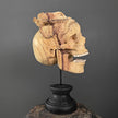 Tamarind Wood Skull with Carved Tentacles - 6A/098