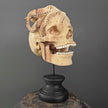 Tamarind Wood Skull with Carved Tentacles - 6A/098