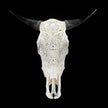 Bull Skull Carved Mandala Boho - Skull,A/149