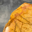 Beautiful Slice of Petrified Wood on stand - S5/171