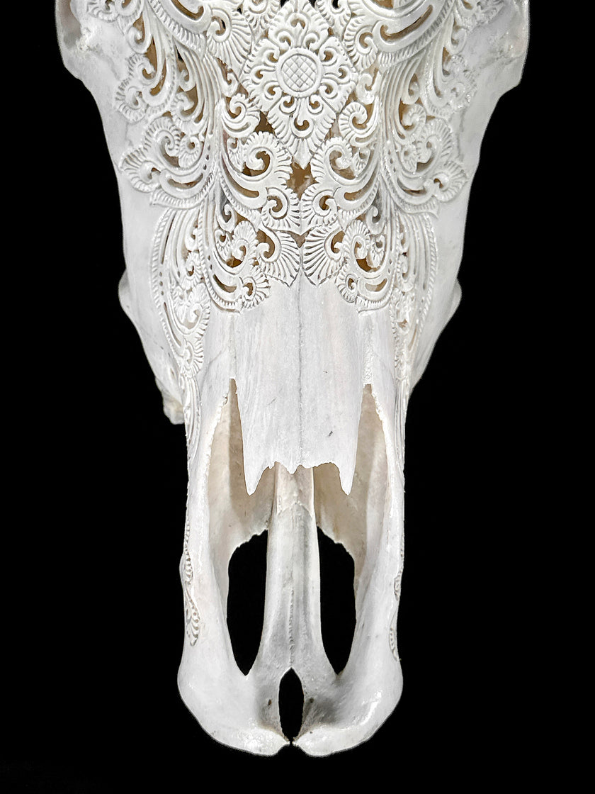 Bull Skull Carved Mandala Boho - Skull,A/149