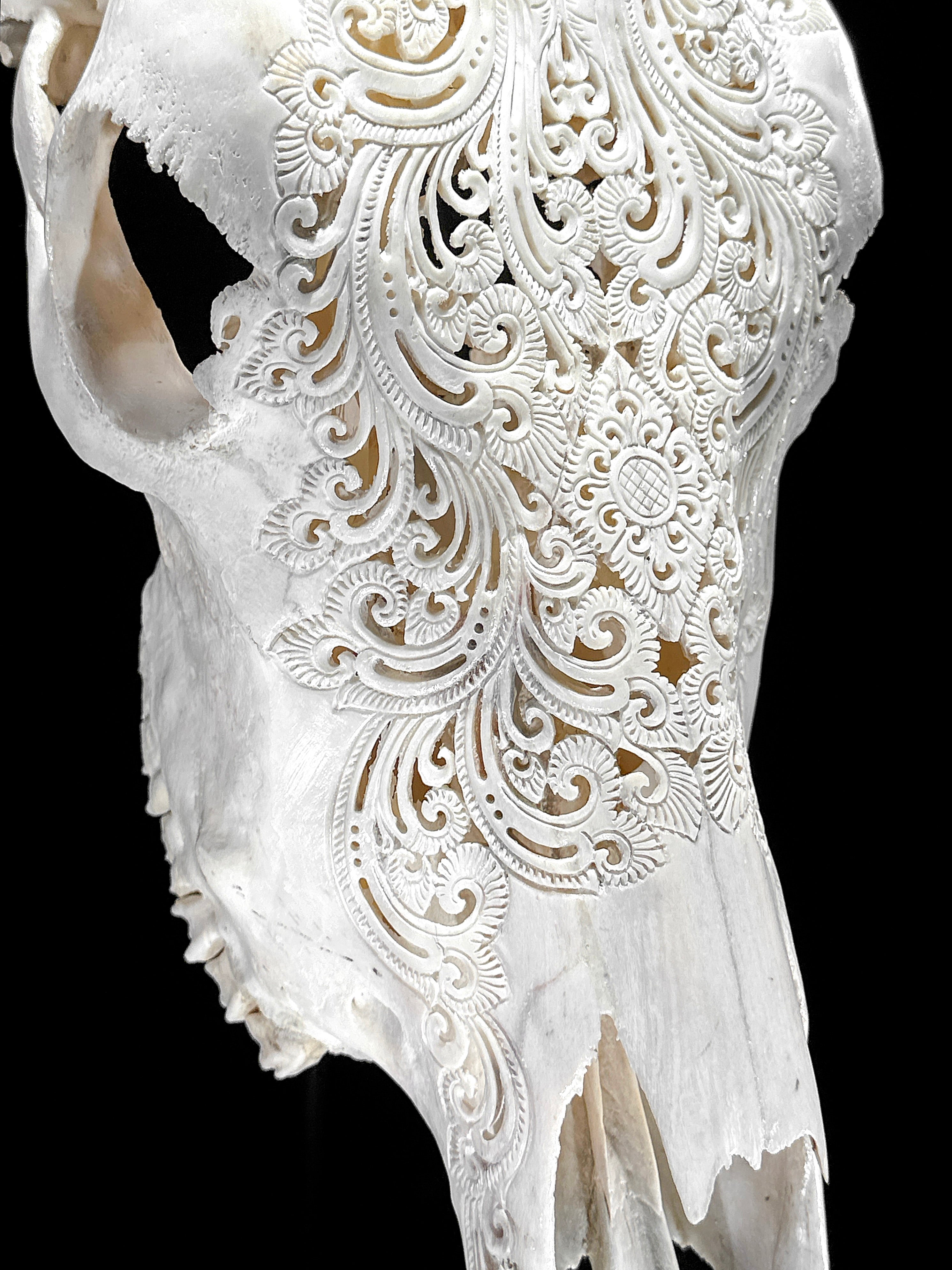 Bull Skull Carved Mandala Boho - Skull,A/149