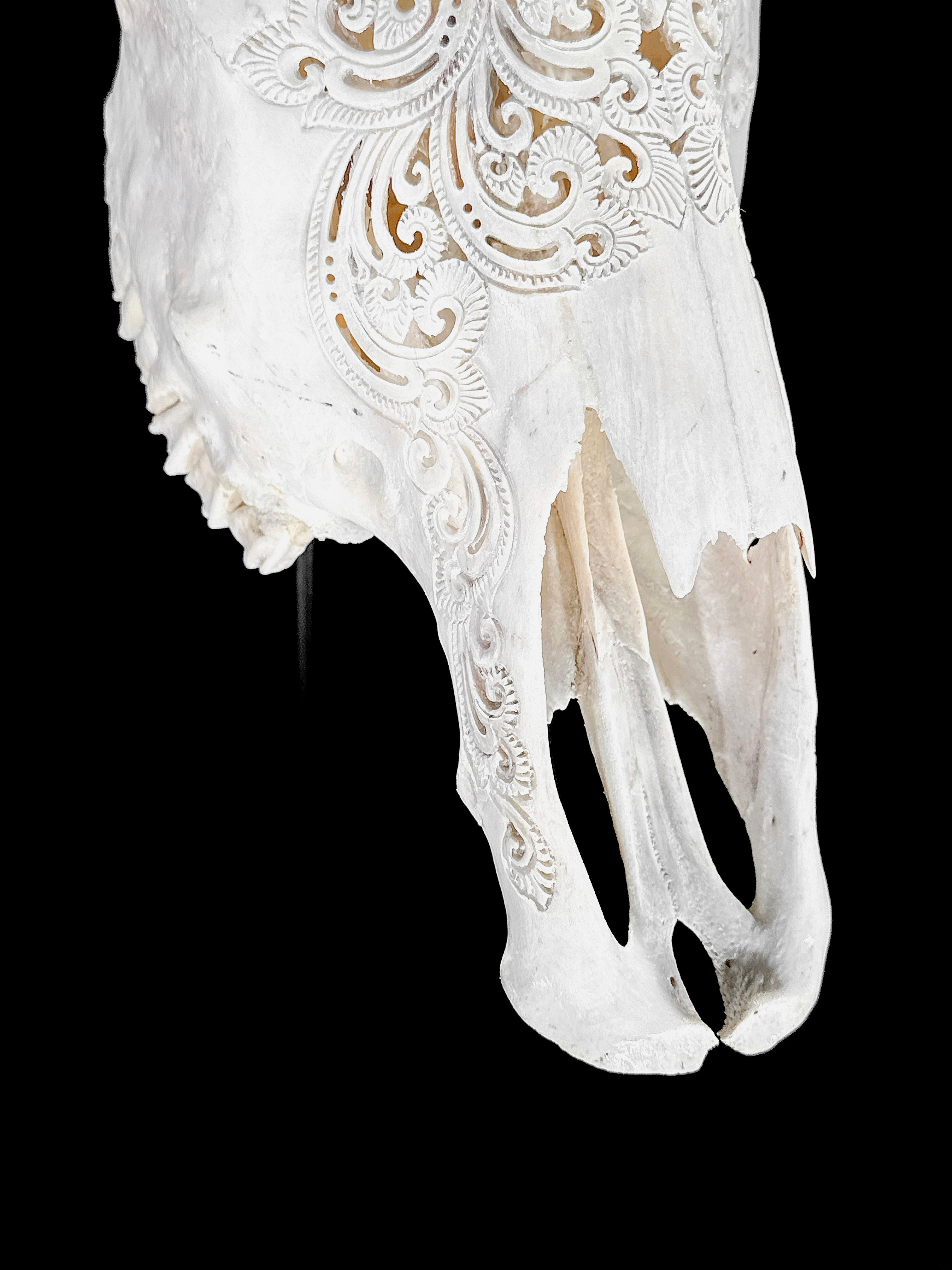 Bull Skull Carved Mandala Boho - Skull,A/149