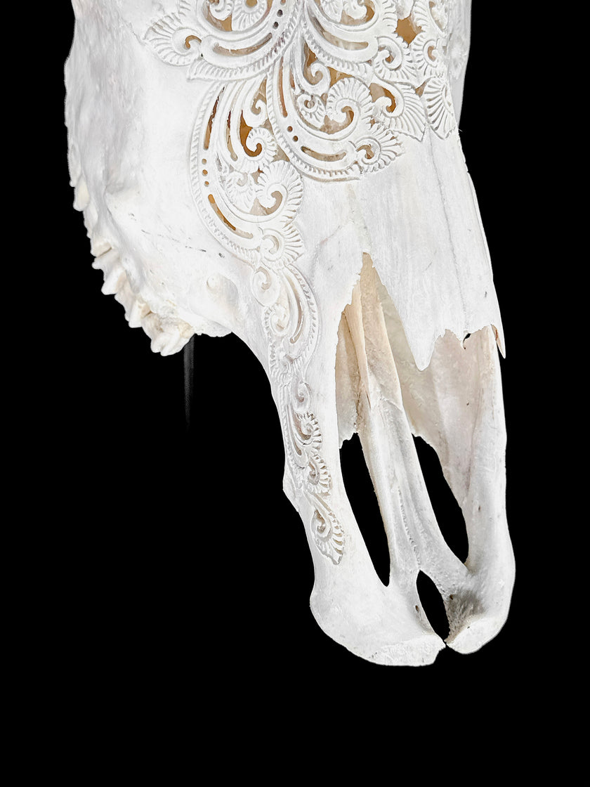 Bull Skull Carved Mandala Boho - Skull,A/149