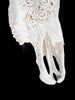 Bull Skull Carved Mandala Boho - Skull,A/149
