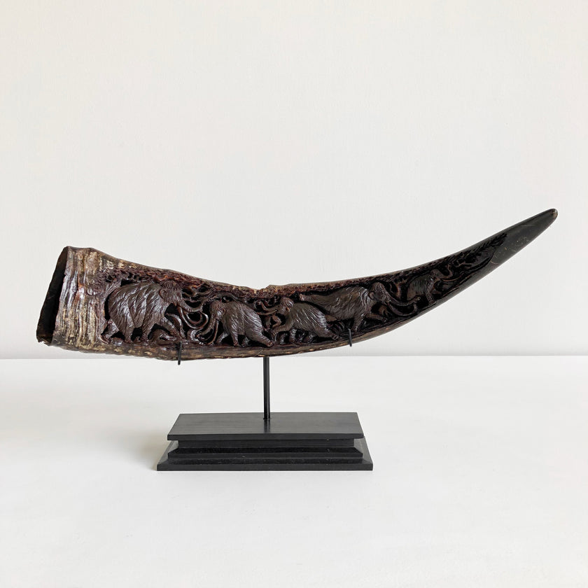 Carved Horns  21/EX/368