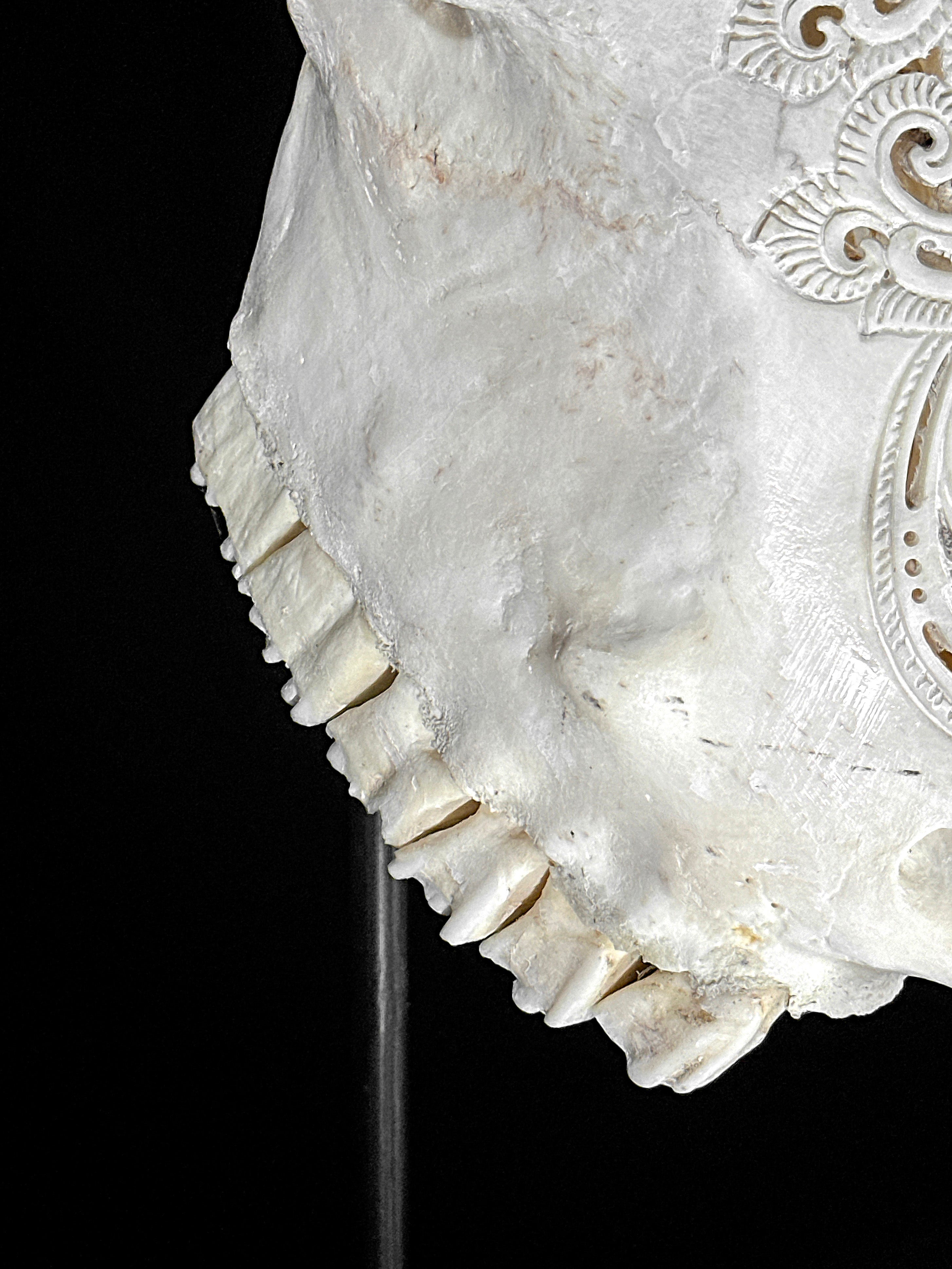 Bull Skull Carved Mandala Boho - Skull,A/149