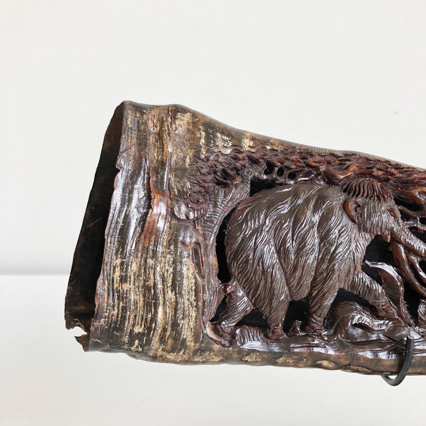 Carved Horns  21/EX/368