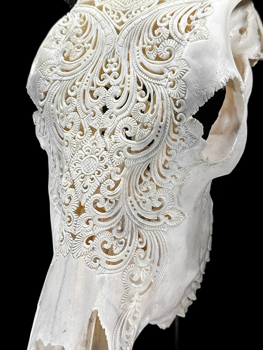 Bull Skull Carved Mandala Boho - Skull,A/149