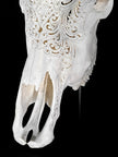Bull Skull Carved Mandala Boho - Skull,A/149