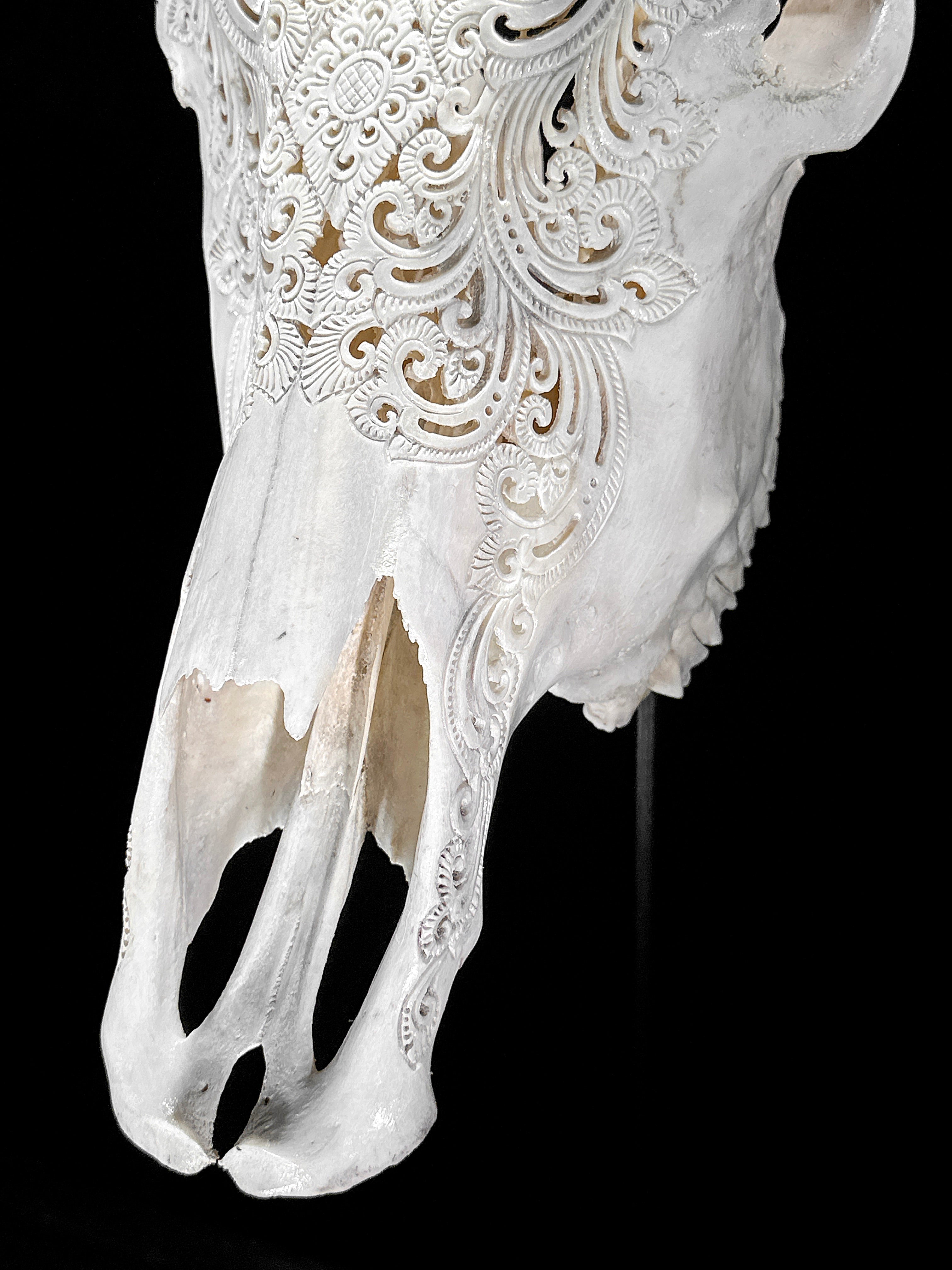 Bull Skull Carved Mandala Boho - Skull,A/149