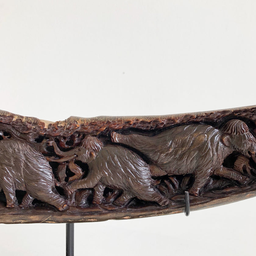 Carved Horns  21/EX/368