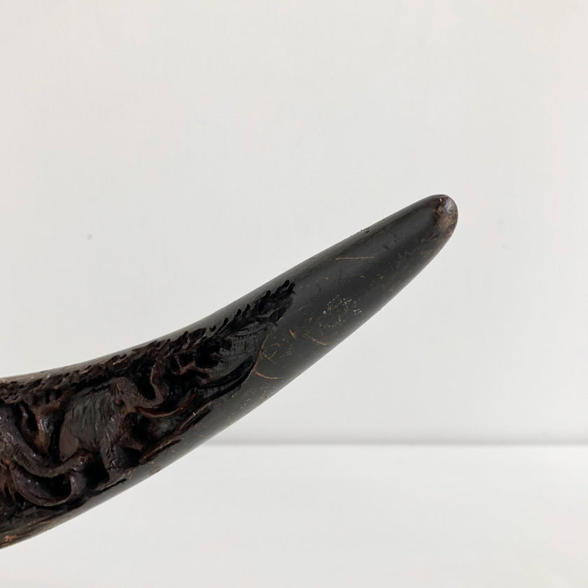Carved Horns  21/EX/368