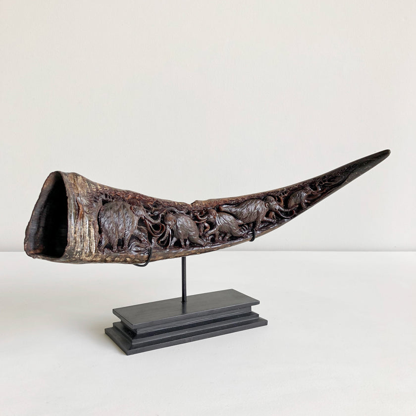 Carved Horns  21/EX/368