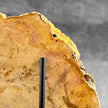 Beautiful Slice of Petrified Wood on stand - S5/171
