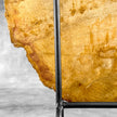 Beautiful Slice of Petrified Wood on stand - S5/171