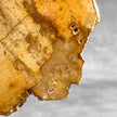 Beautiful Slice of Petrified Wood on stand - S5/171