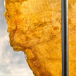 Beautiful Slice of Petrified Wood on stand - S5/171
