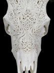 Fully carved cow skulls with Small Lotus Carving Skull,A/179