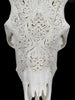 Fully carved cow skulls with Small Lotus Carving Skull,A/179
