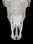 Fully carved cow skulls with Small Lotus Carving Skull,A/179