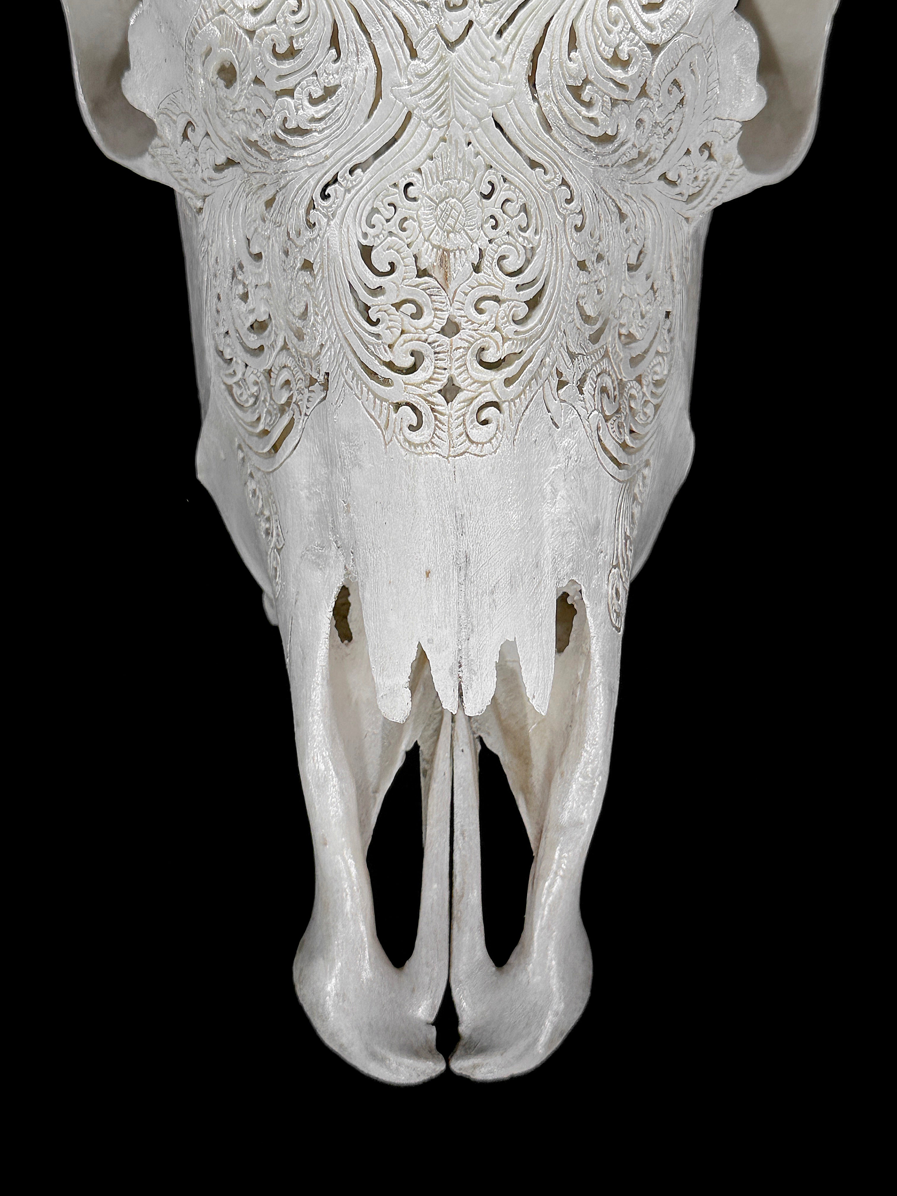 Fully carved cow skulls with Small Lotus Carving Skull,A/179
