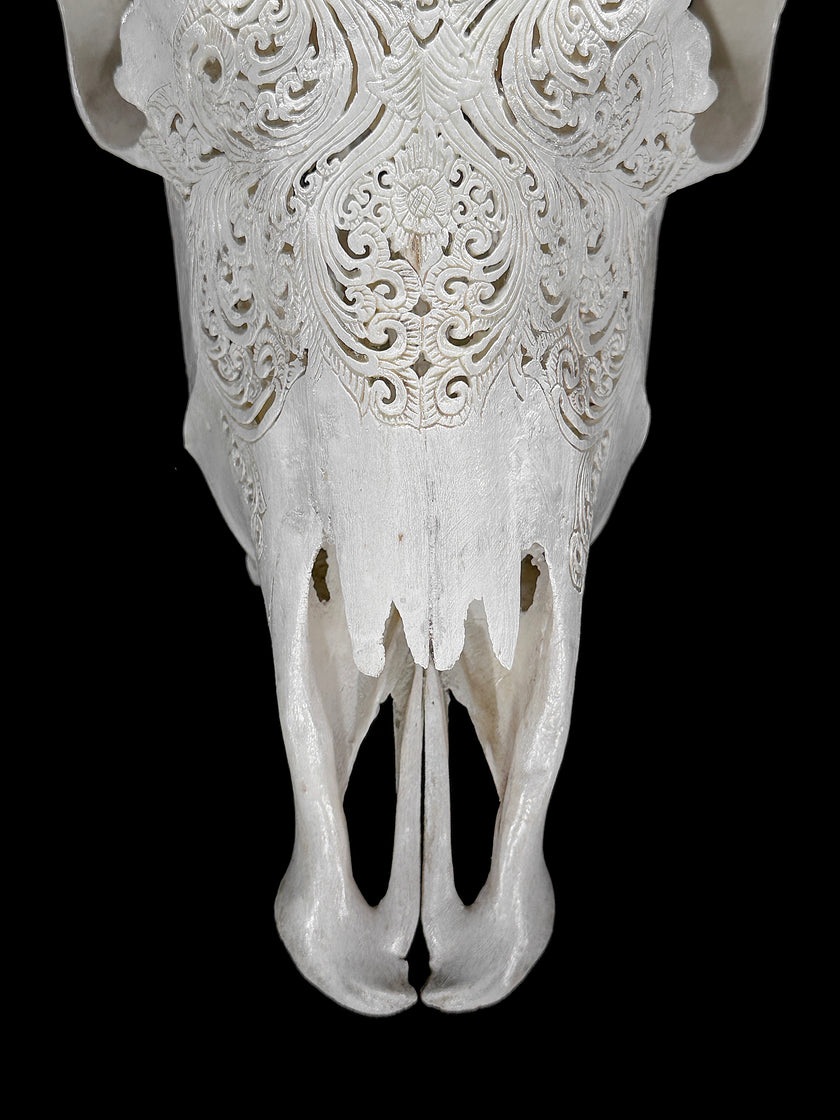 Fully carved cow skulls with Small Lotus Carving Skull,A/179