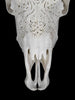 Fully carved cow skulls with Small Lotus Carving Skull,A/179