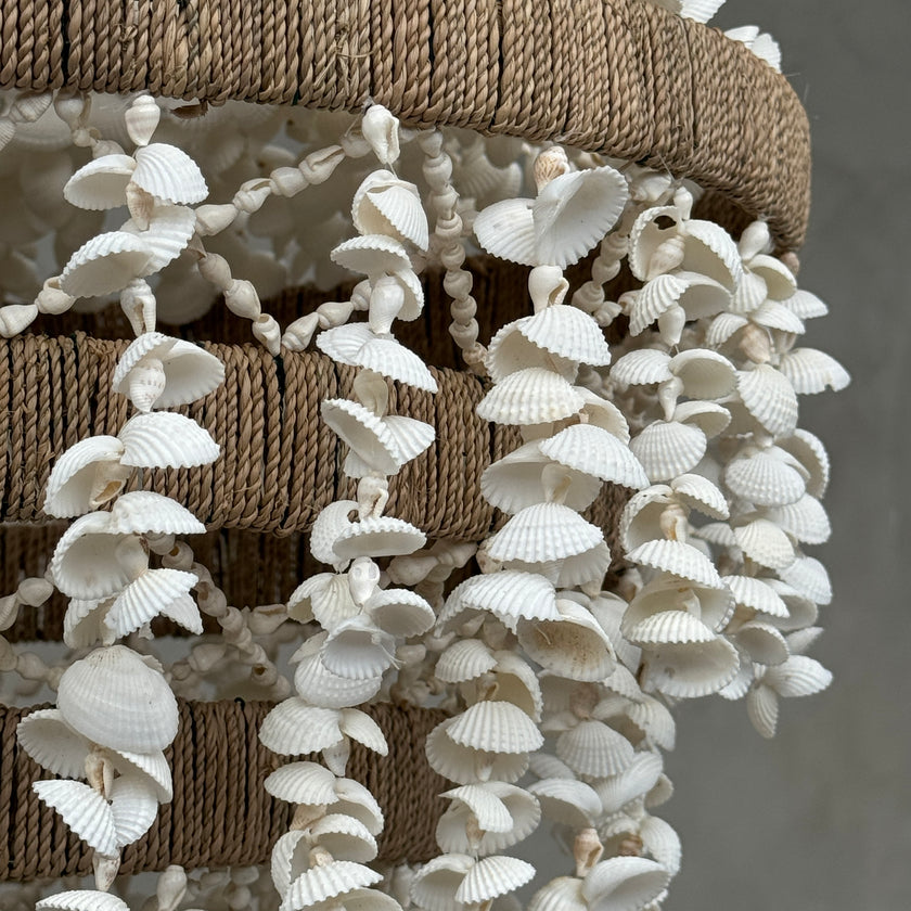 Chandelier Shell 16 - SL16