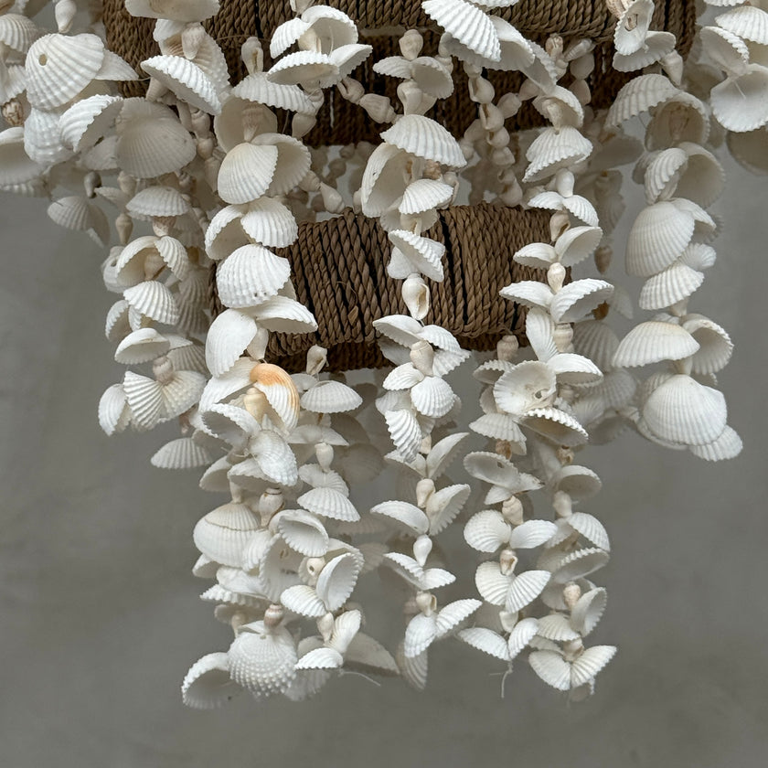 Chandelier Shell 16 - SL16