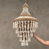 Chandelier Shell 16 - SL16