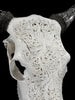 Fully carved cow skulls with Small Lotus Carving Skull,A/179