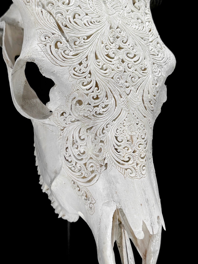 Fully carved cow skulls with Small Lotus Carving Skull,A/179