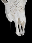 Fully carved cow skulls with Small Lotus Carving Skull,A/179