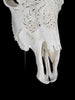 Fully carved cow skulls with Small Lotus Carving Skull,A/179