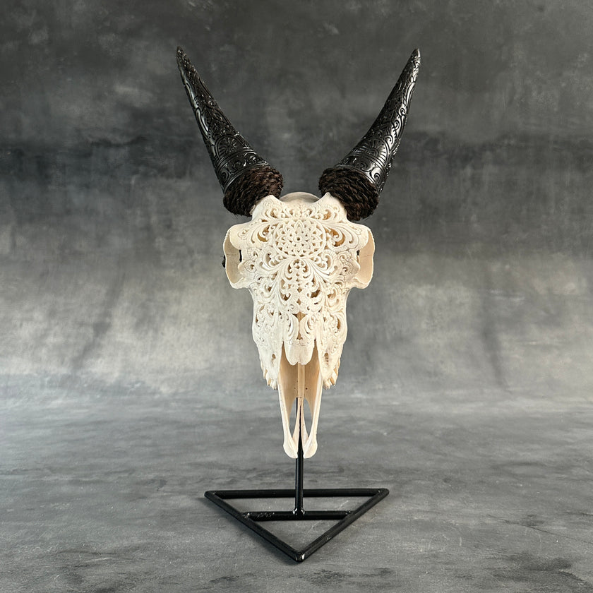 White Carved Goat Skull & Horns on Stand - Star Mandala Engravings – Unique Gothic Boho Home Decor, Rustic Wall Mount