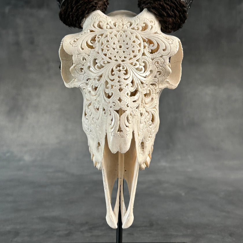 White Carved Goat Skull & Horns on Stand - Star Mandala Engravings – Unique Gothic Boho Home Decor, Rustic Wall Mount