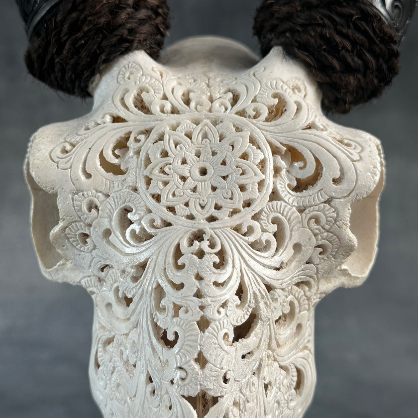 White Carved Goat Skull & Horns on Stand - Star Mandala Engravings – Unique Gothic Boho Home Decor, Rustic Wall Mount