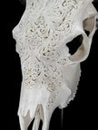 Fully carved cow skulls with Small Lotus Carving Skull,A/179