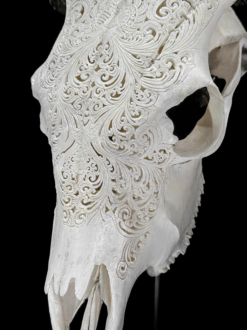 Fully carved cow skulls with Small Lotus Carving Skull,A/179