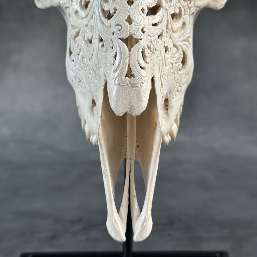 White Carved Goat Skull & Horns on Stand - Star Mandala Engravings – Unique Gothic Boho Home Decor, Rustic Wall Mount