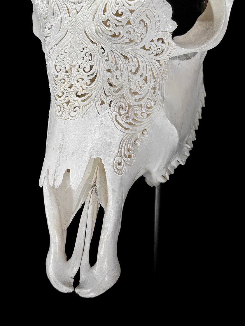 Fully carved cow skulls with Small Lotus Carving Skull,A/179