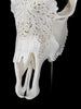 Fully carved cow skulls with Small Lotus Carving Skull,A/179
